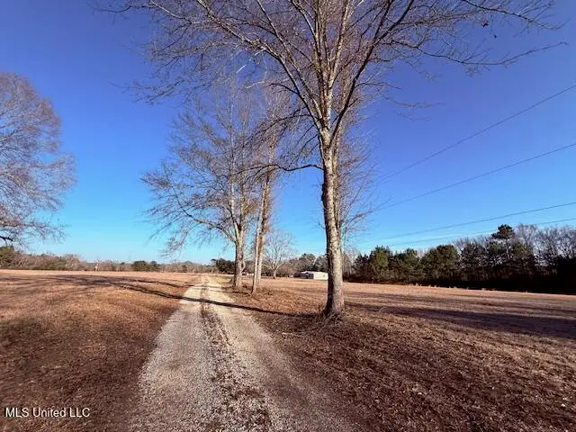 Joby Magee Road, Franklinton, LA 70438 - #2