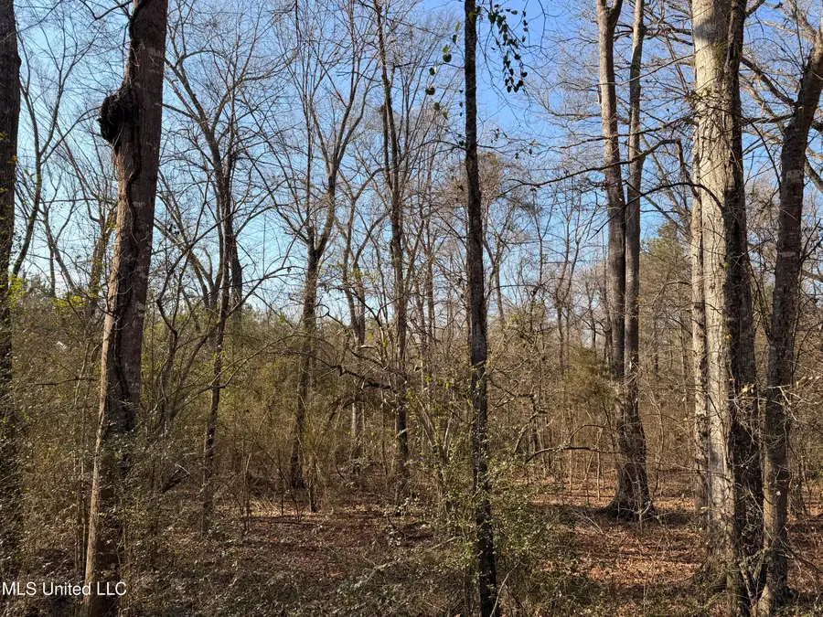 Ms-28, Hazlehurst, MS 39083 - #3