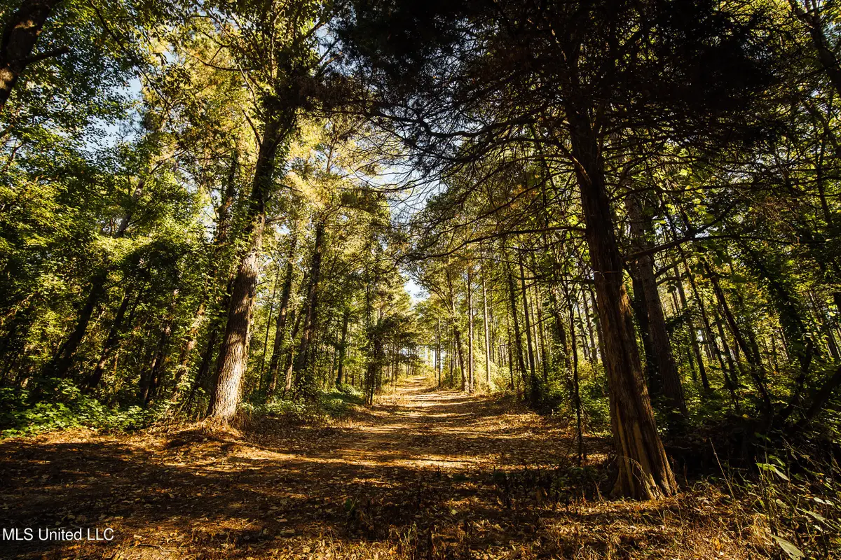 Mississippi 4, Holly Springs, MS 38635 - #1