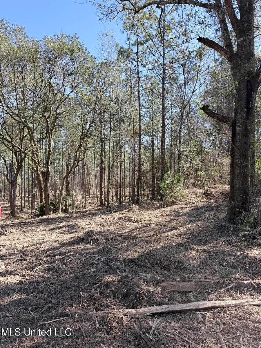 Red Bluff Road, Moss Point, MS 39562 - #3