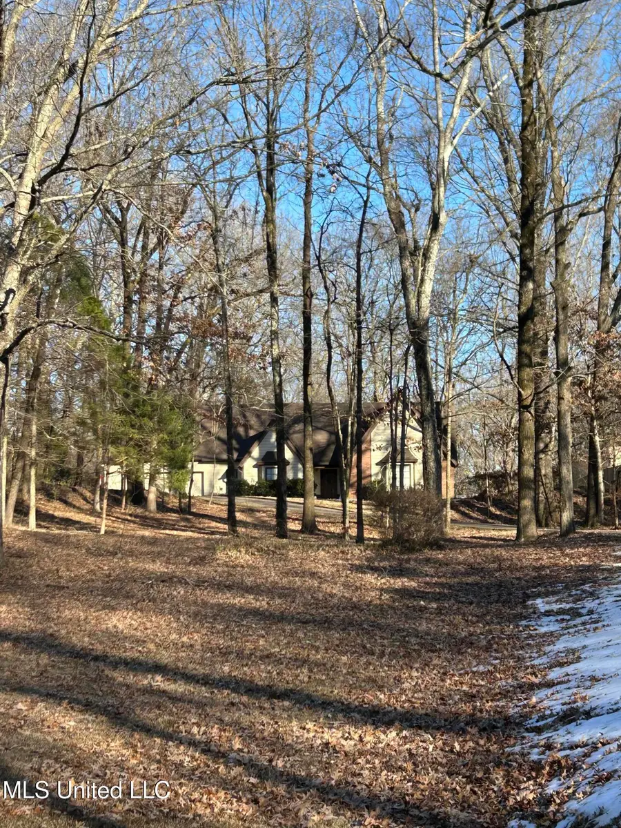 2330 Robbie Lee Road, Nesbit, MS 38651 - #2