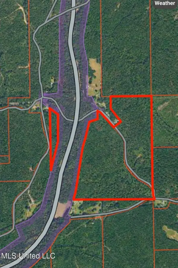 Co Rd 32, Dennis, MS 38838