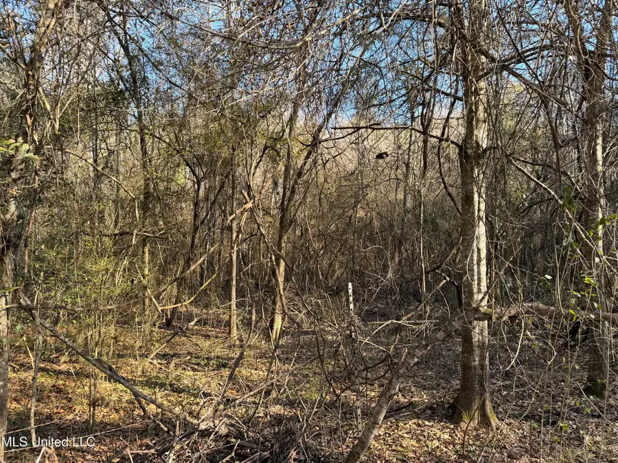 Franklin Street, Summit, MS 39666 - #2