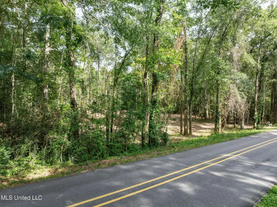 Lot 4 (3.86 Acres) Beverly Hills Drive, Hattiesburg, MS 39402 - #3