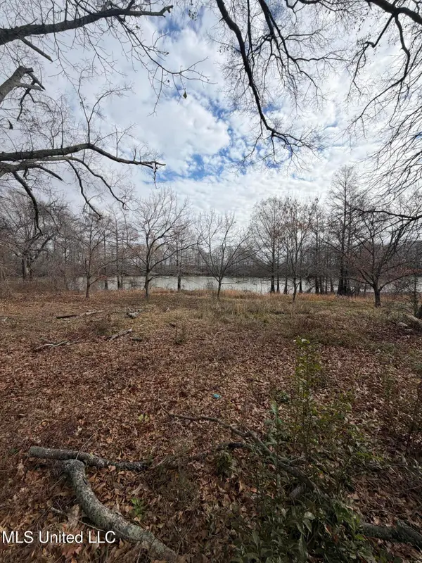 Lakeshore Drive Street, Itta Bena, MS 38941