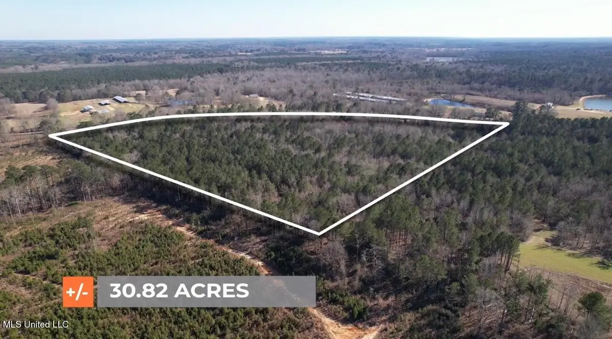 00 Hayman Lake Road, Mendenhall, MS 39114 - #1