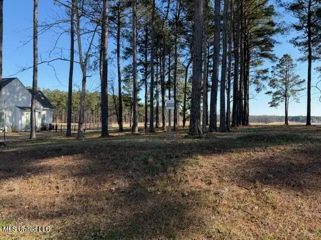 Bishop Point, Madison, MS 39110 - #3