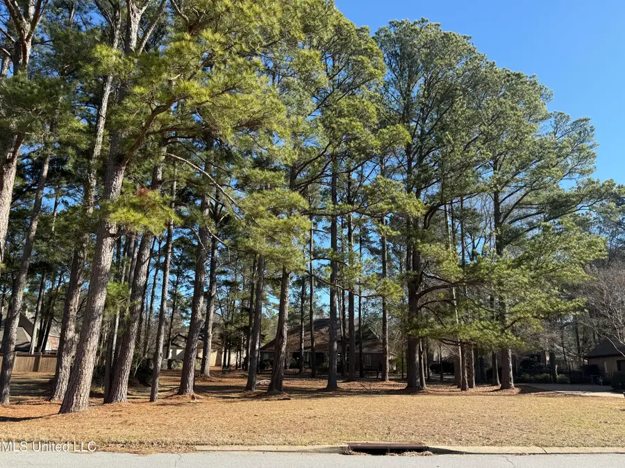 101 Grandview Circle, Brandon, MS 39047 - #2