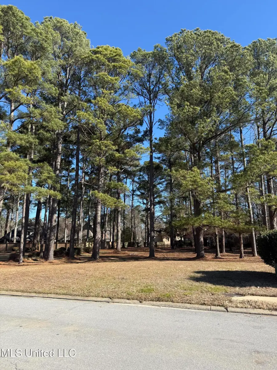 101 Grandview Circle, Brandon, MS 39047 - #3