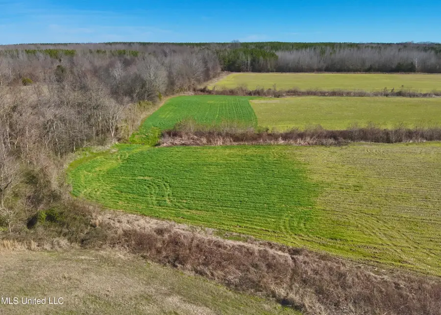 Springhill Road, Lexington, MS 39095 - #2