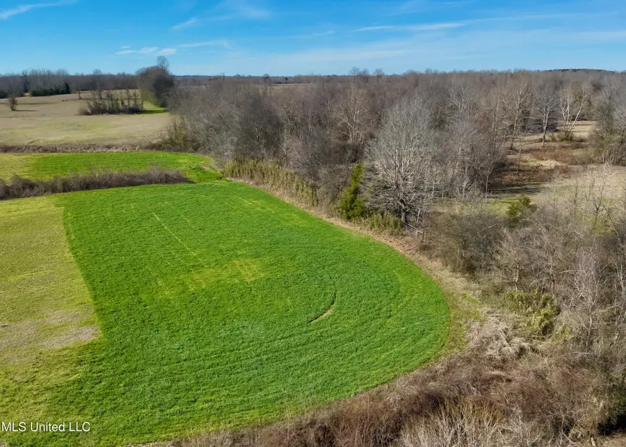 Springhill Road, Lexington, MS 39095 - #3