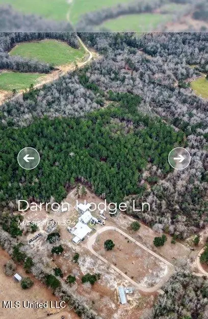 0 Darron Hodge Lane, Poplarville, MS 39470 - #1