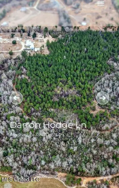 0 Darron Hodge Lane, Poplarville, MS 39470 - #2