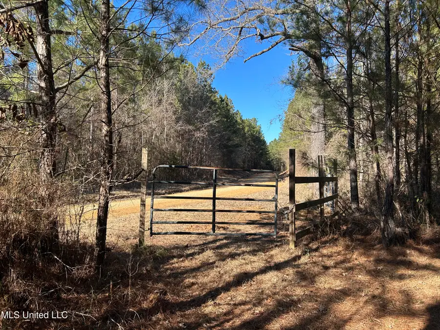 307 Willis Road, Decatur, MS 39327 - #2