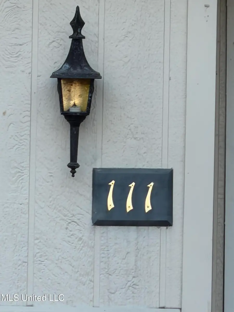 111 Lakebend Circle, Brandon, MS 39042 - #2