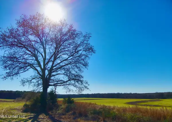 Newport Road, Lexington, MS 39095