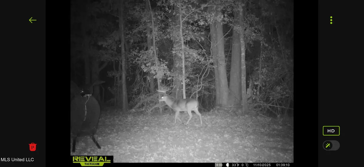 0 Morton-rankin County Line Road, Morton, MS 39117 - #1