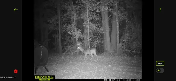 0 Morton-rankin County Line Road, Morton, MS 39117