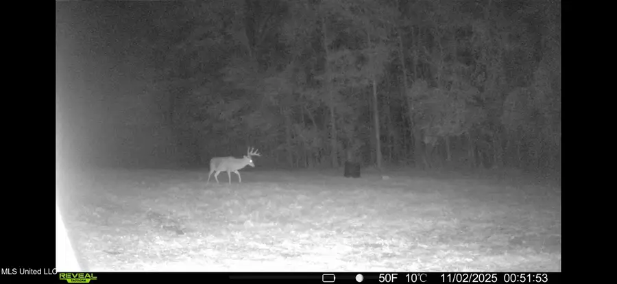 0 Morton-rankin County Line Road, Morton, MS 39117 - #2