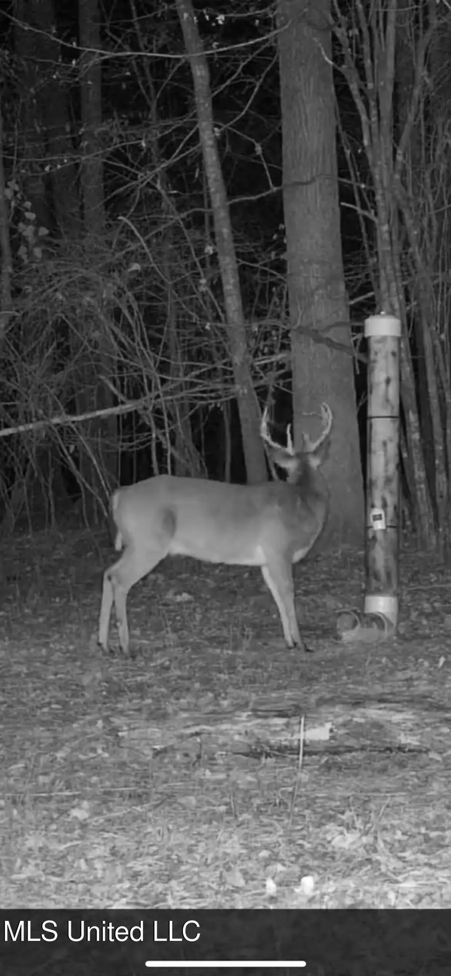 104 Mamie Mangum Road, Florence, MS 39073 - #2