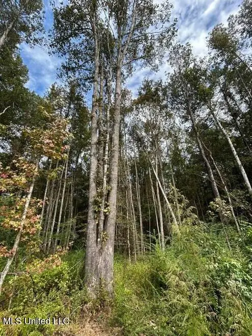 8049 Smith Co Rd 504, Raleigh, MS 39153 - #1