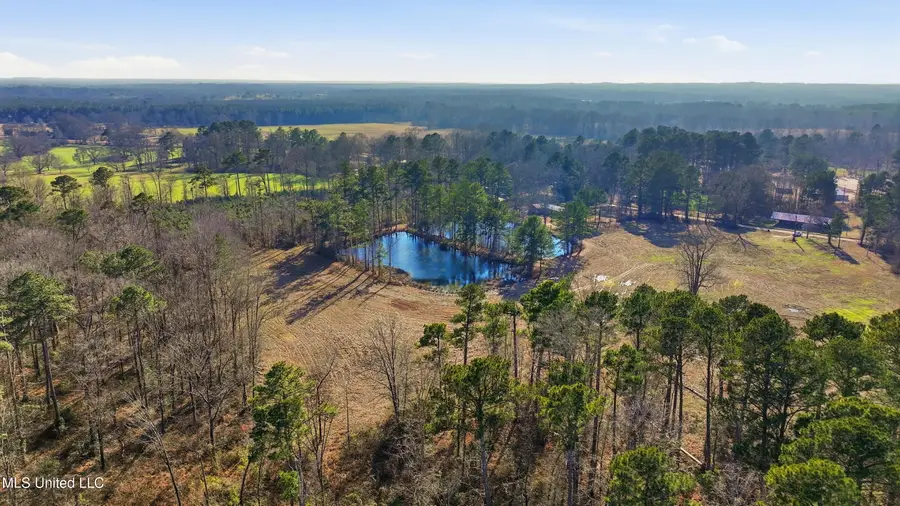 254 Red Allen Road, Brandon, MS 39042 - #2