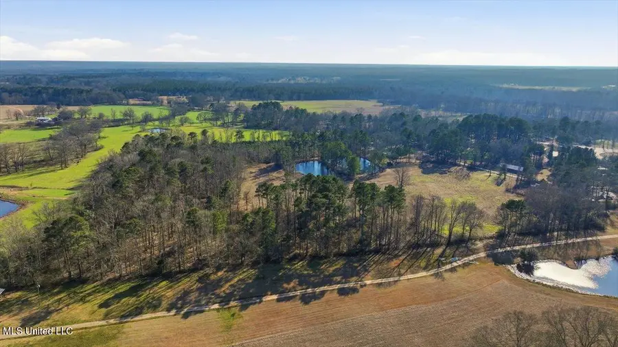 254 Red Allen Road, Brandon, MS 39042 - #3