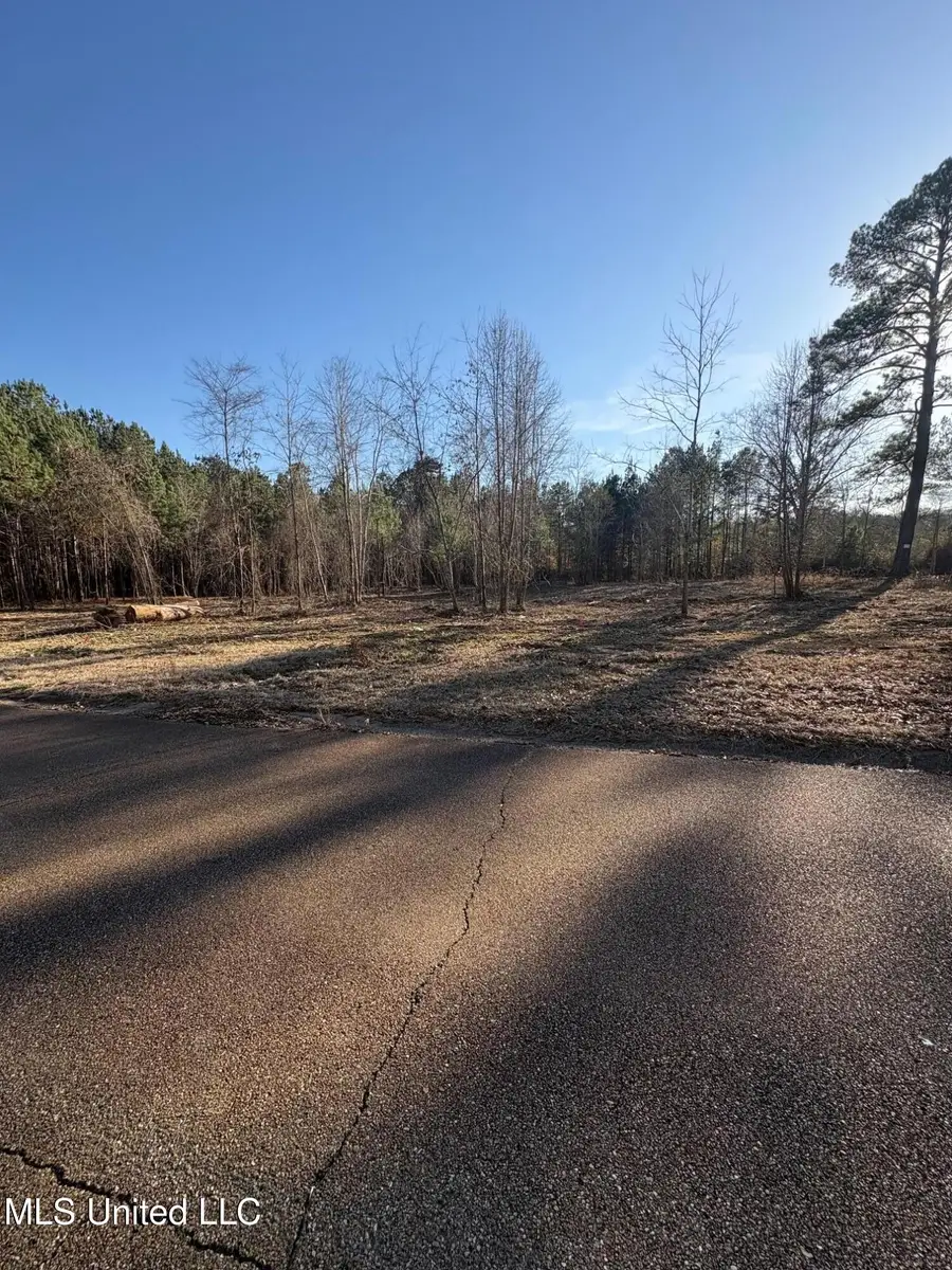 0 SE Pinewood Drive, Magee, MS 39111 - #2