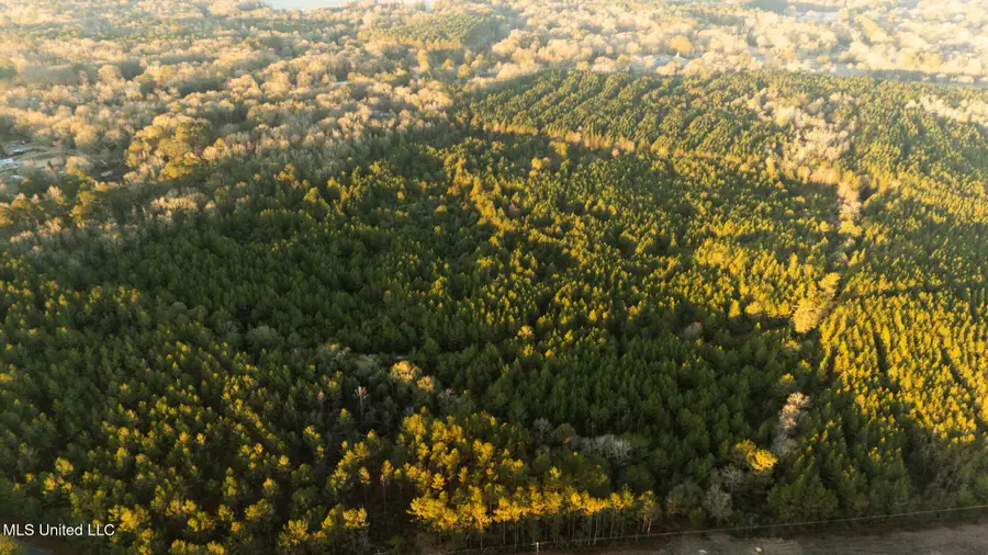 Foster Mcconnell Road, Seminary, MS 39479 - #3