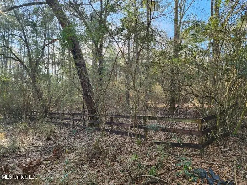 Kupfer Lane, Poplarville, MS 39470 - #3