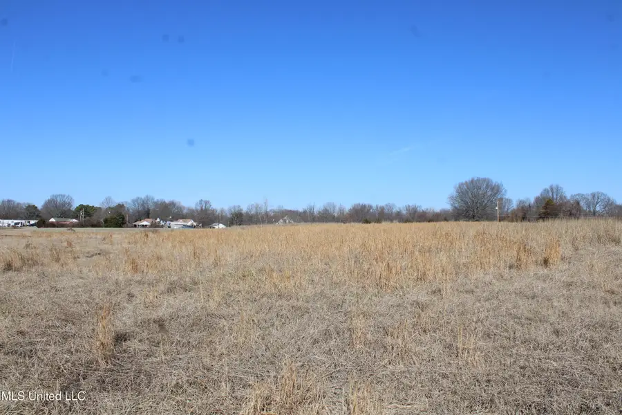 6100 Curbo Lane, Olive Branch, MS 38654 - #3