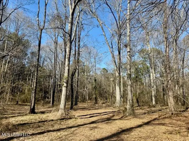 NW Boyd Trail, Brookhaven, MS 39601 - #1