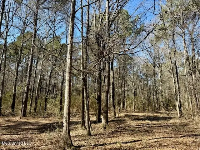 NW Boyd Trail, Brookhaven, MS 39601 - #3