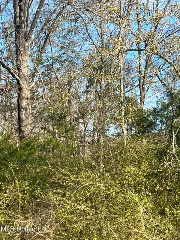 0 Adams Station Road, Utica, MS 39175