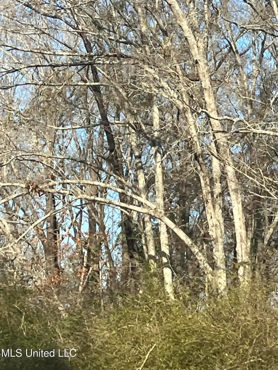 0 Adams Station Road, Utica, MS 39175 - #3