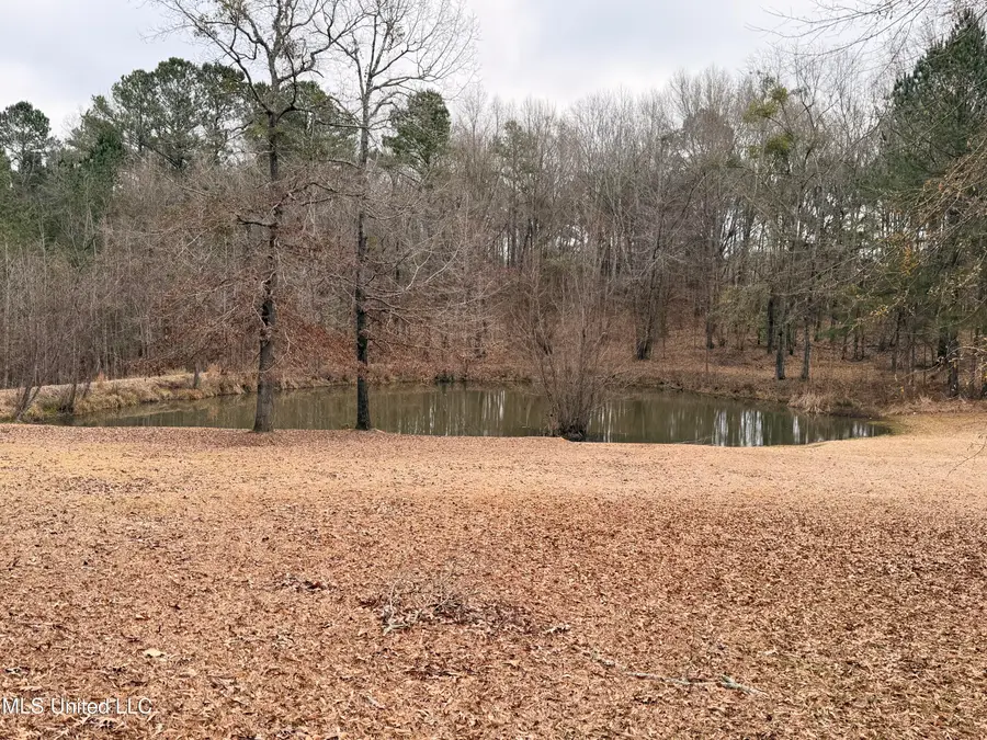 4204 NW Highway 550, Union Church, MS 39668 - #2