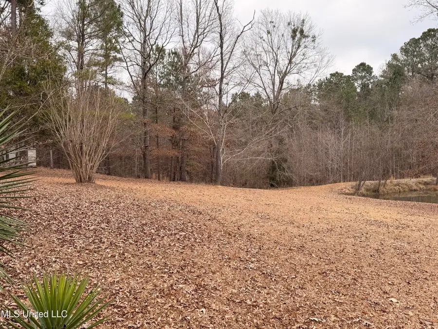 4204 NW Highway 550, Union Church, MS 39668 - #3