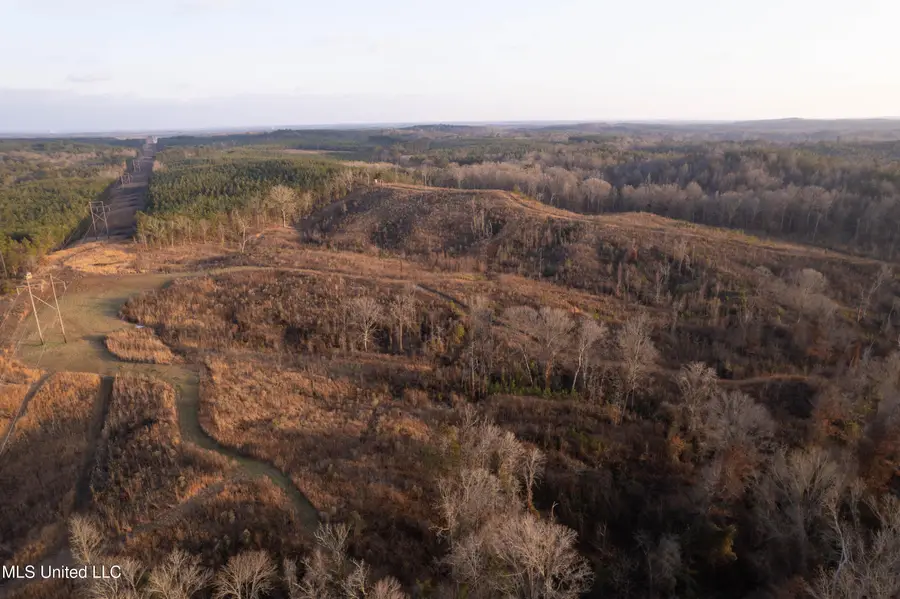 Off County Road 4101, Sallis, MS 39160 - #2