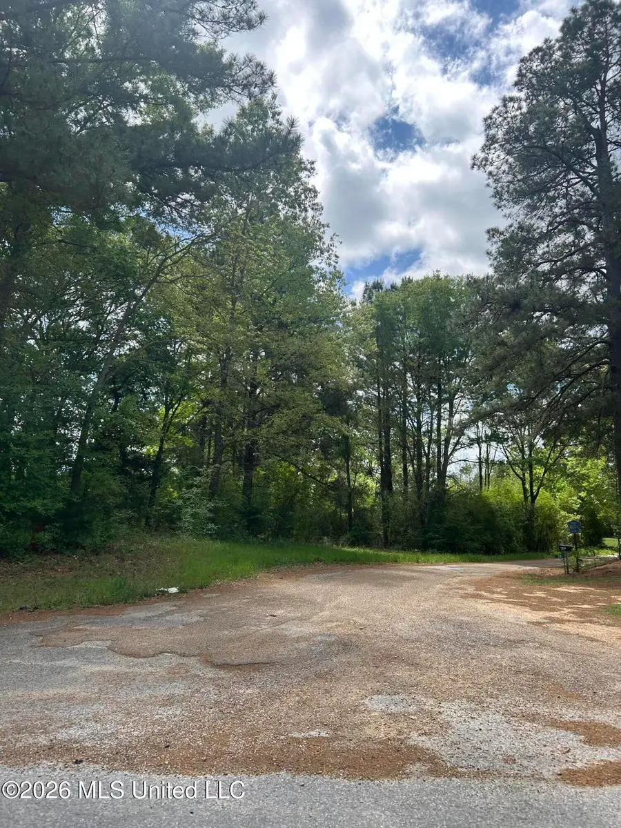 Smith Co Road 563, Polkville, MS 39117 - #3
