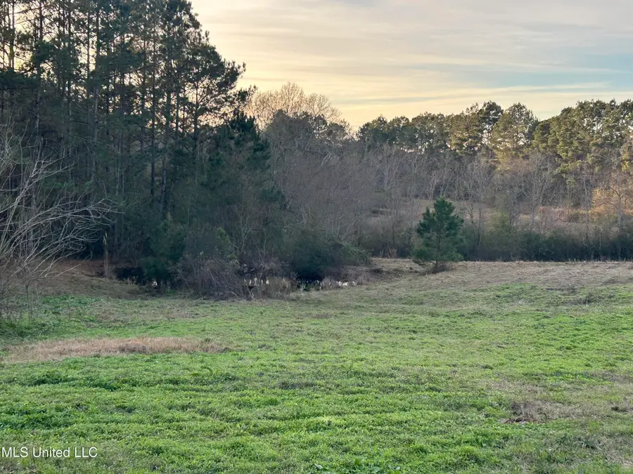 2441 Bouie Road, Carriere, MS 39426 - #3