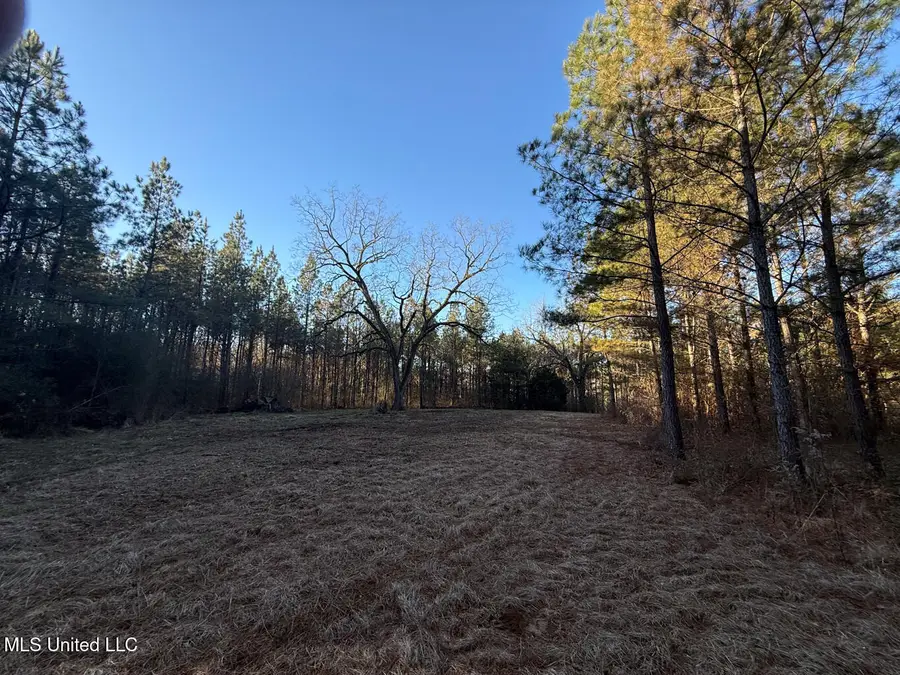 1145 Ludlow Road, Lena, MS 39094 - #3