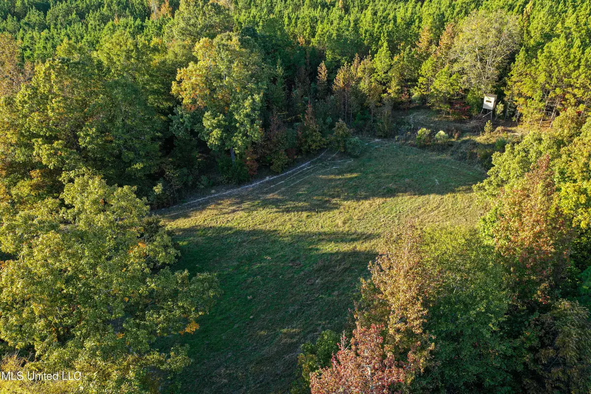 01 County Road 107, Pittsboro, MS 38951 - #1