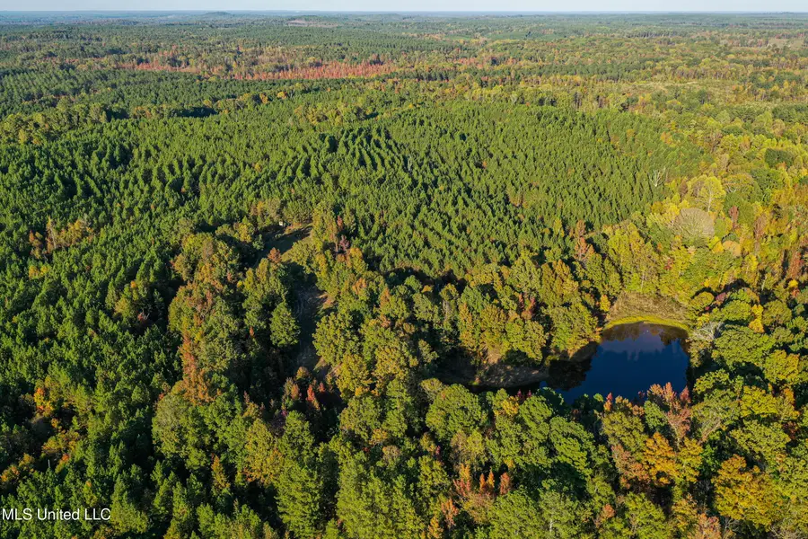 01 County Road 107, Pittsboro, MS 38951 - #3