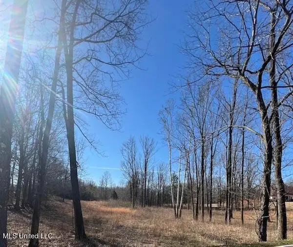 0 Austin Road, Lake Cormorant, MS 38641