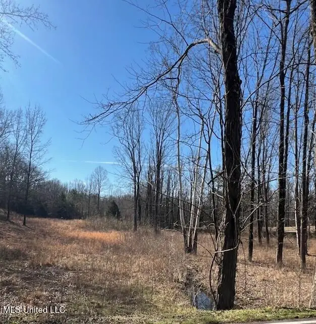 0 Austin Road, Lake Cormorant, MS 38641 - #3