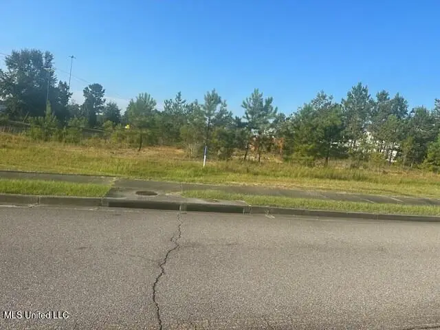 1845 Cooper Road, Picayune, MS 39466 - #3