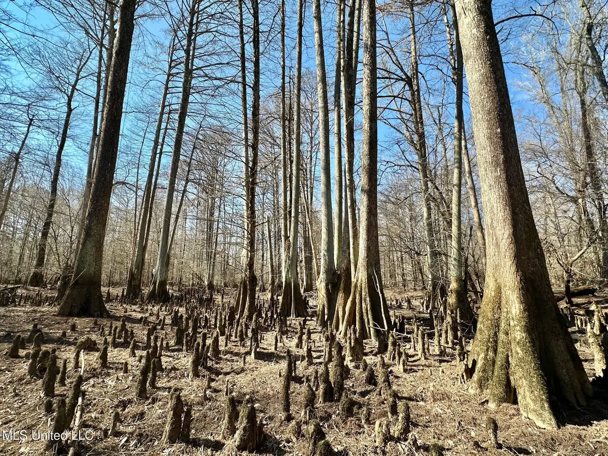 4 Evans Road, Carthage, MS 39051 - #1