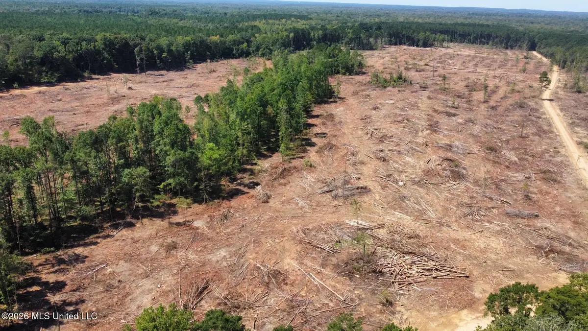 6 Cut Off Road, Carthage, MS 39051 - #1