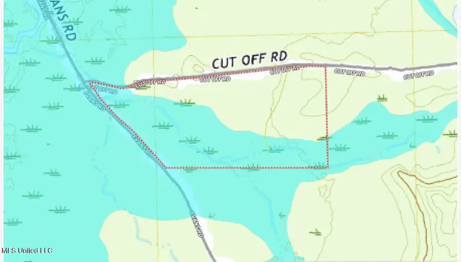 7 Cut Off Road, Carthage, MS 39051 - #3