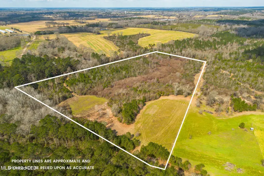 Stovall Road, Kokomo, MS 39643 - #2